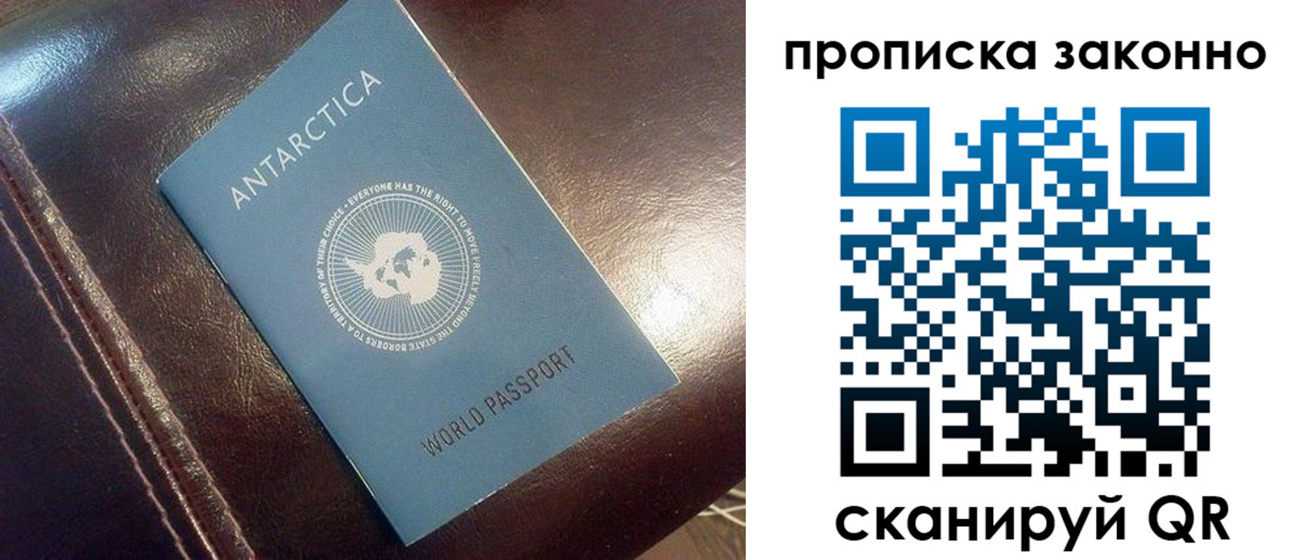 временная регистрация в Кингисеппе